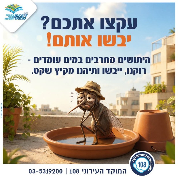 הדברת יתושים