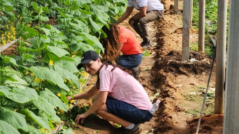 עובדי העירייה מתגייסים למאמץ הלאומי 5.jpg