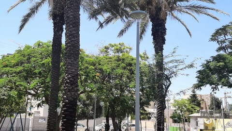 גן גולני התחדש  5.jpg