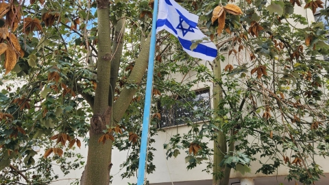 מוסדות החינוך התעטפו היום בדגלי ישראל 7.jpg